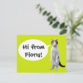 Permanent Cat Custom Message Fun Briefkaart (Staand voorkant)