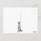 Permanent Cat Custom Message Fun Briefkaart (Achterkant)