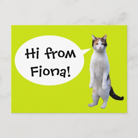 Permanent Cat Custom Message Fun Briefkaart (Voorkant)