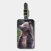 Permanent Grizzly-Beer Bagagelabel (Voorkant verticaal)