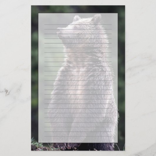 Permanent Grizzly-Beer Briefpapier (Voorkant)