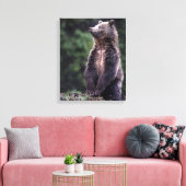 Permanent Grizzly-Beer Canvas Afdruk (Insitu (Woonkamer))