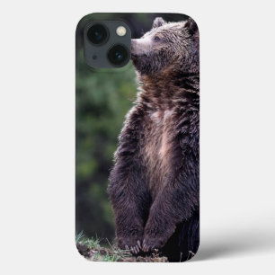 Permanent Grizzly-Beer Case-Mate iPhone Case
