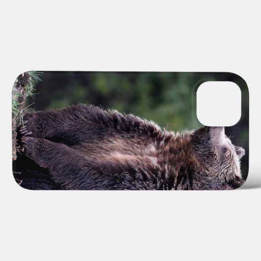 Permanent Grizzly-Beer Case-Mate iPhone Case (Achterkant (horizontaal))