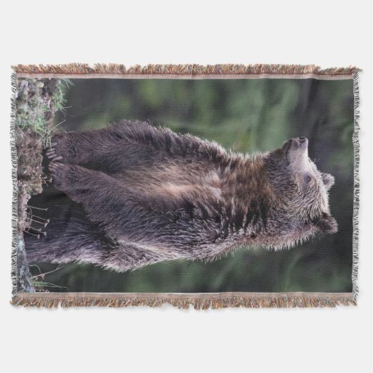 Permanent Grizzly-Beer Deken (Voorkant)
