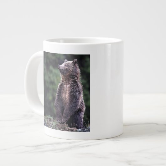 Permanent Grizzly-Beer Grote Koffiekop (Links)