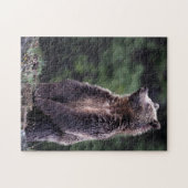 Permanent Grizzly-Beer Legpuzzel (Horizontaal)