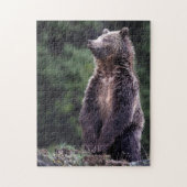 Permanent Grizzly-Beer Legpuzzel (Verticaal)