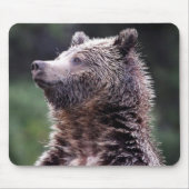 Permanent Grizzly-Beer Muismat (Voorkant)