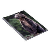 Permanent Grizzly-Beer Notitieboek (Rechterzijde)