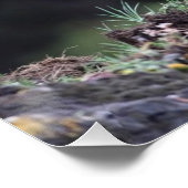 Permanent Grizzly-Beer Poster (Hoek)