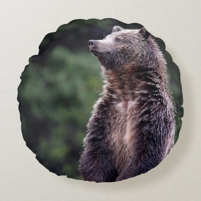 Permanent Grizzly-Beer Rond Kussen (Voorkant)