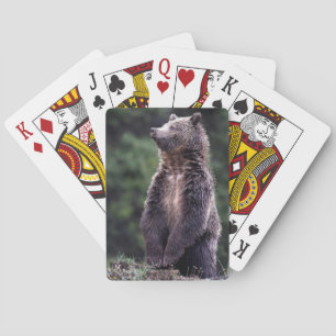 Permanent Grizzly-Beer Speelkaarten