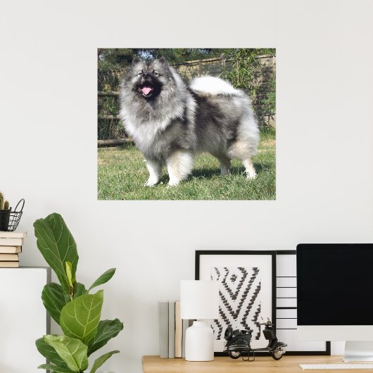 Permanent Keeshond Dog Poster (Thuiskantoor)