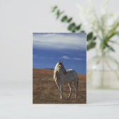 Permanent paard briefkaart (Staand voorkant)