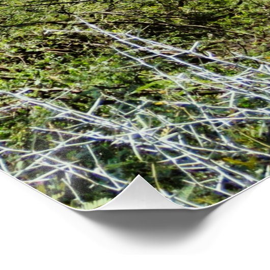 Permanent Perfect Poster (Hoek)