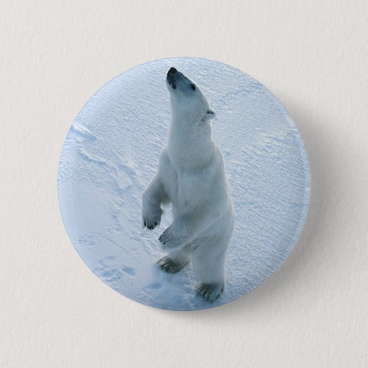 Permanent Polair Beer Ronde Button 5,7 Cm (Voorkant)