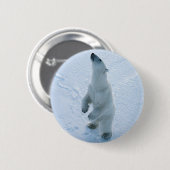 Permanent Polair Beer Ronde Button 5,7 Cm (Voorkant /achterkant)