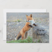 Permanent Red Fox Birthday Uitnodiging (Voorkant)