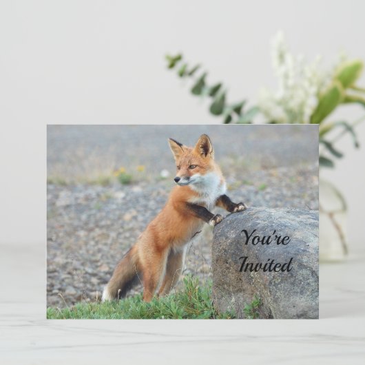 Permanent Red Fox Birthday Uitnodiging (Staand voorkant)