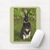 Permanent Rex Rabbit Muismat (Met muis)