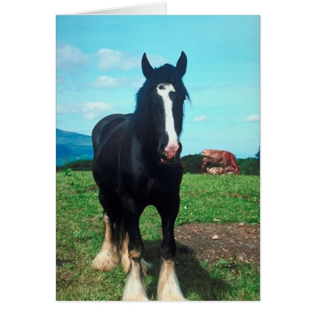 Permanent Shire (Voorkant)