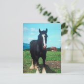 Permanent Shire Briefkaart (Staand voorkant)