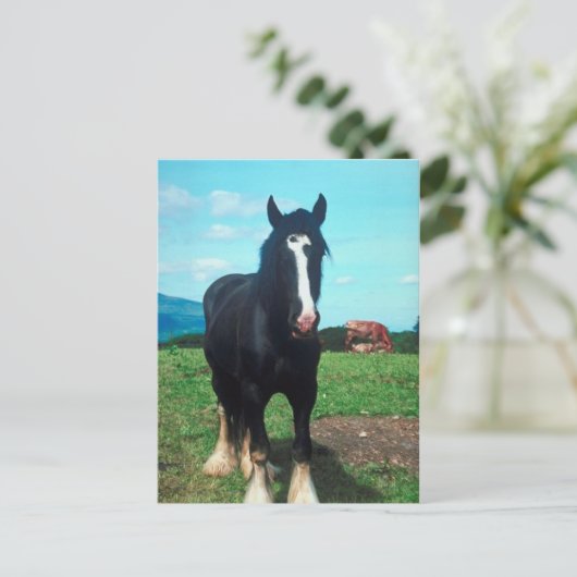 Permanent Shire Briefkaart (Staand voorkant)