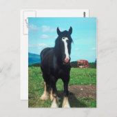 Permanent Shire Briefkaart (Voorkant / Achterkant)