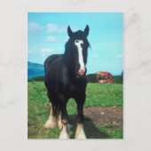 Permanent Shire Briefkaart (Voorkant)