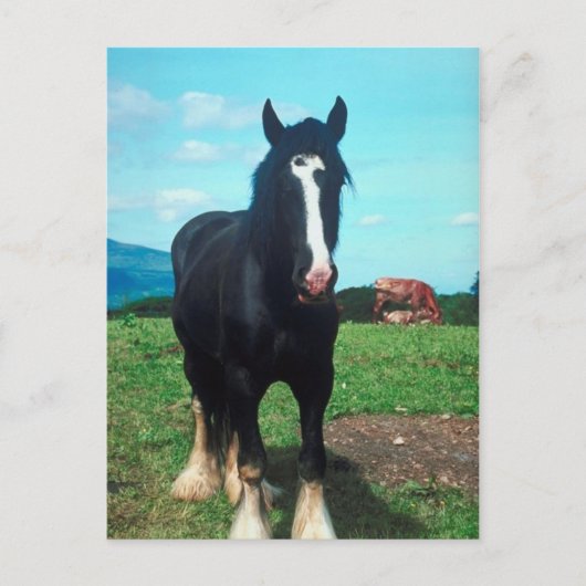 Permanent Shire Briefkaart (Voorkant)