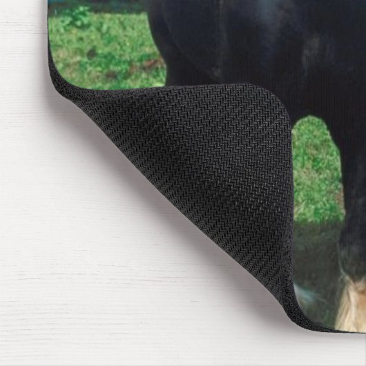 Permanent Shire Muismat (Hoek)