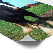 Permanent Shire Poster (Hoek)