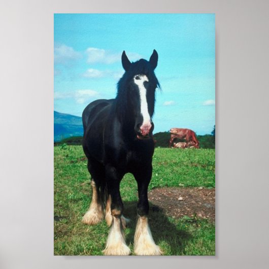 Permanent Shire Poster (Voorkant)