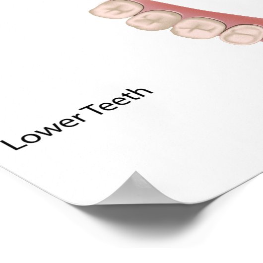 Permanent tandheelkundig Poster (Hoek)