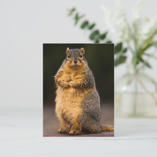 Permanente band briefkaart (Staand voorkant)