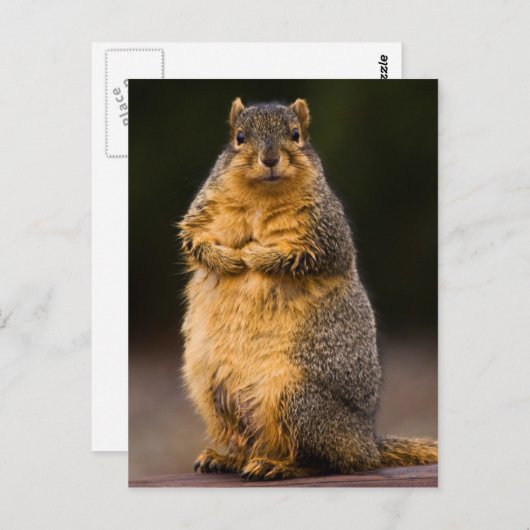 Permanente band briefkaart (Voorkant / Achterkant)