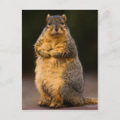 Permanente band briefkaart (Voorkant)