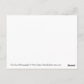 Permanente band briefkaart (Achterkant)