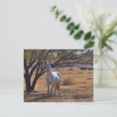 Permanente band briefkaart (Staand voorkant)