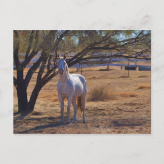 Permanente band briefkaart