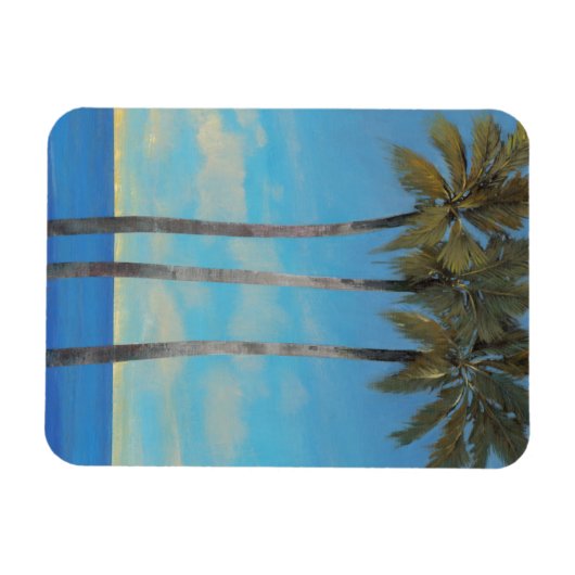 Permanente band II Magneet (Horizontaal)