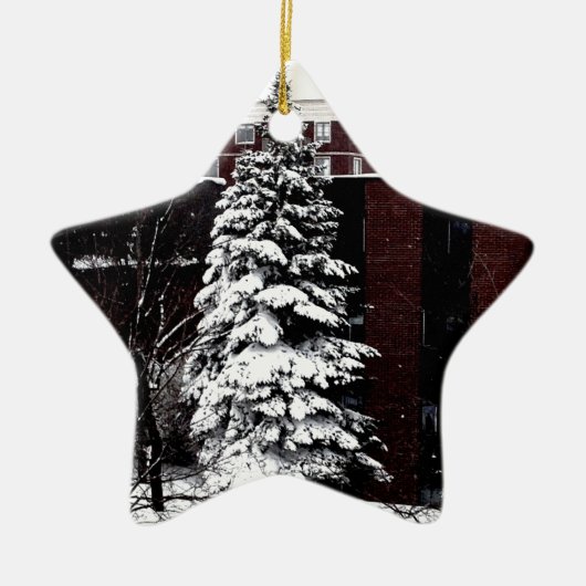 Permanente band keramisch ornament (Voorkant)