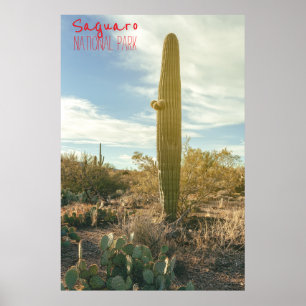 Permanente band poster