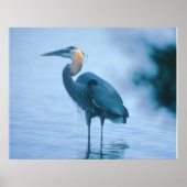 Permanente band poster (Voorkant)