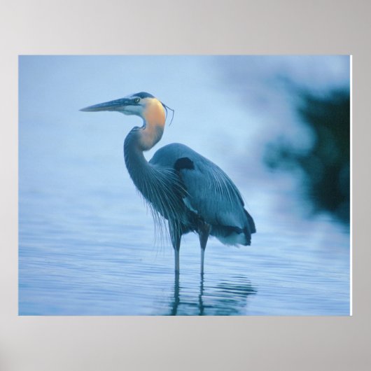 Permanente band poster (Voorkant)