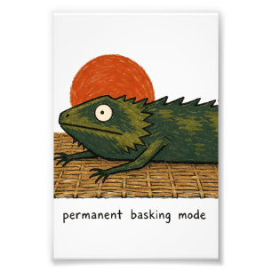 Permanente Baskmodus Baardagaam Kunst Foto Afdruk
