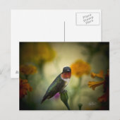 Permanente bewaking briefkaart (Voorkant / Achterkant)