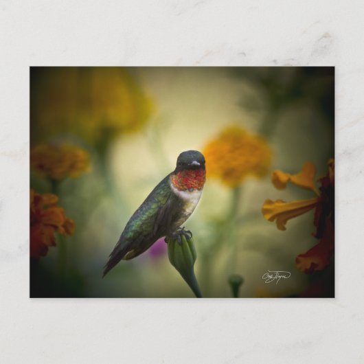 Permanente bewaking briefkaart (Voorkant)