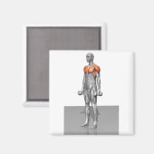 Permanente Biceps Curl Magneet (Voorkant / Achterkant)